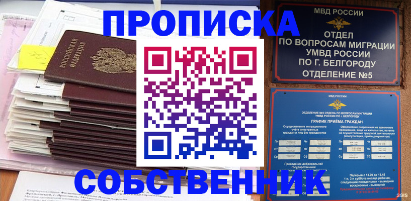 прописка законно в Медногорске
